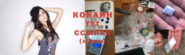 спайс Богданович