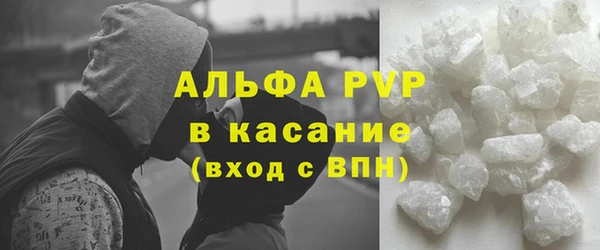 спайс Богданович