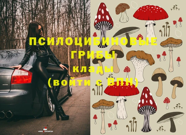 спайс Богданович