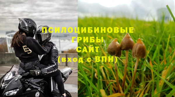спайс Богданович