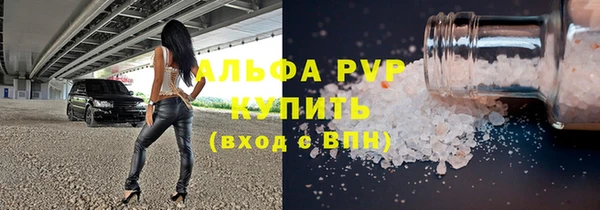 спайс Богданович